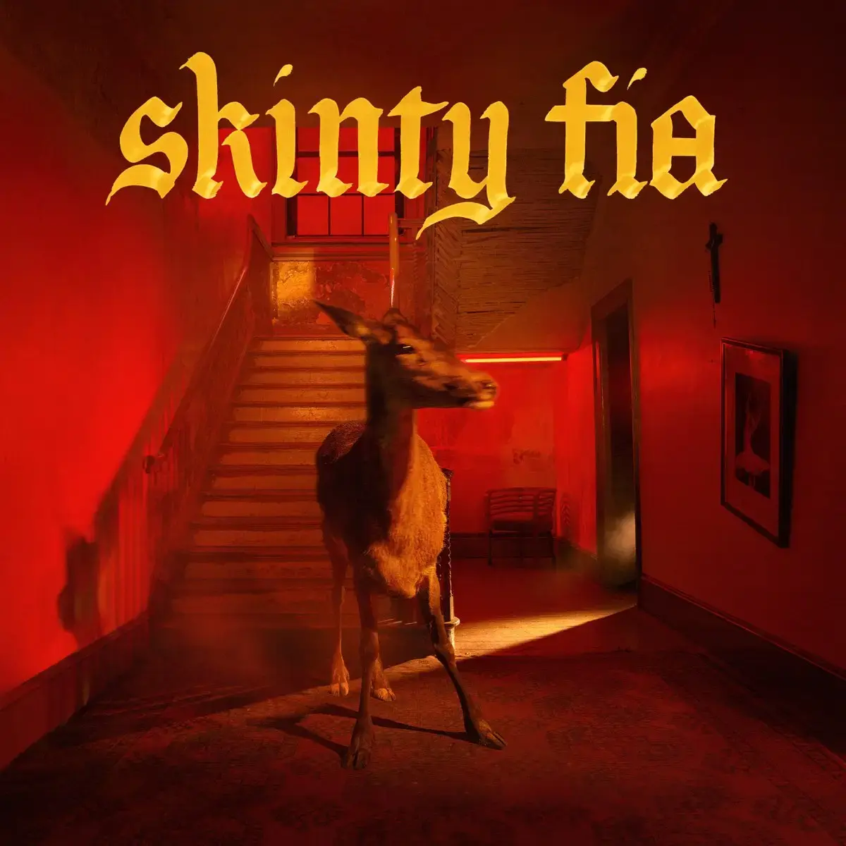 Fontaines D.C. Skinty Fia Album Cover
