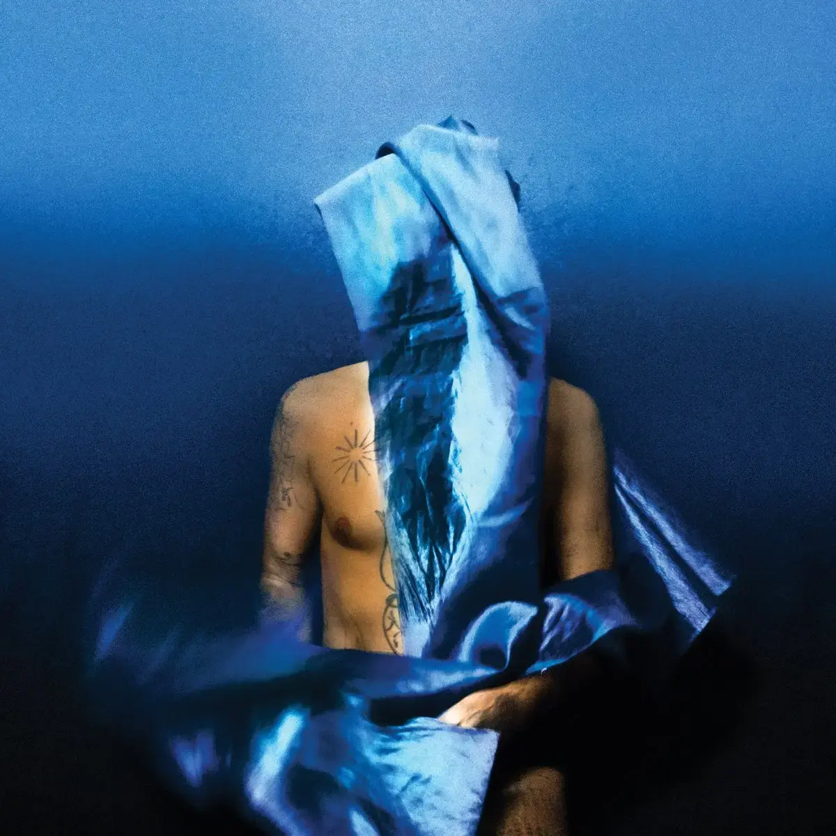 Devendra Banhart Flying Wig Album Cover
