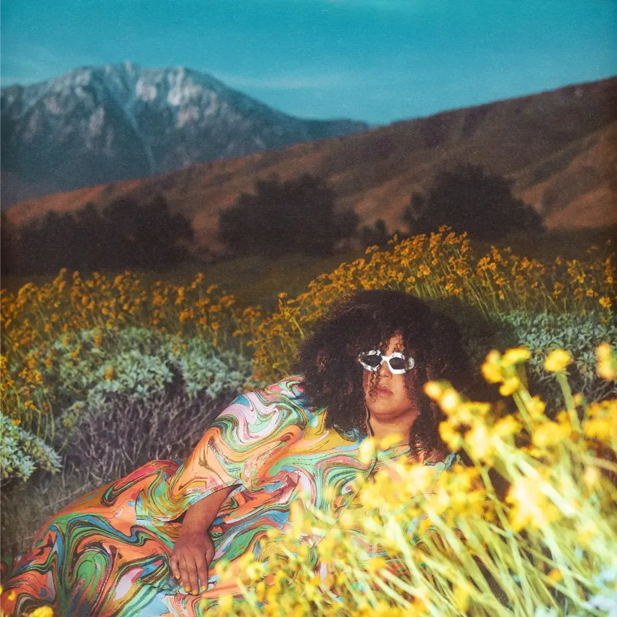 Brittany Howard What Now Album Cover