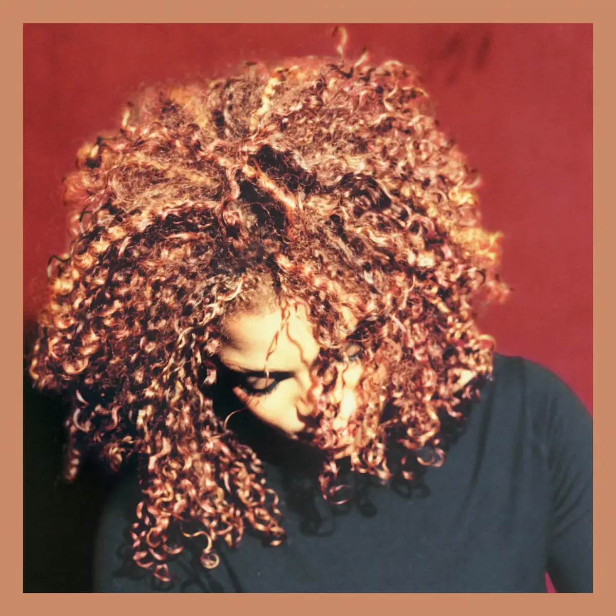 Janet Jackson The Velvet Rope Album Cover